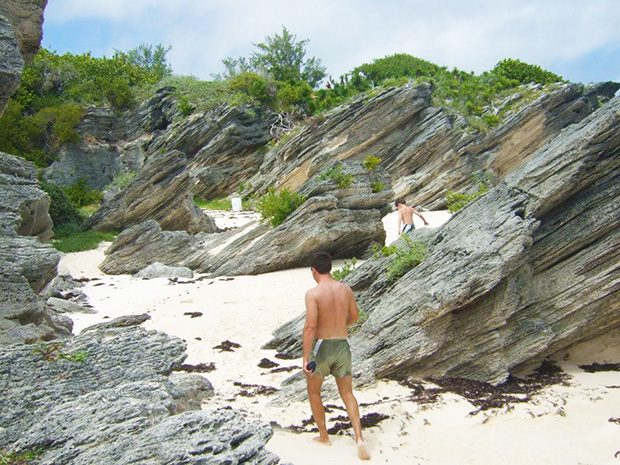 Exploring beach one of many - Bermuda